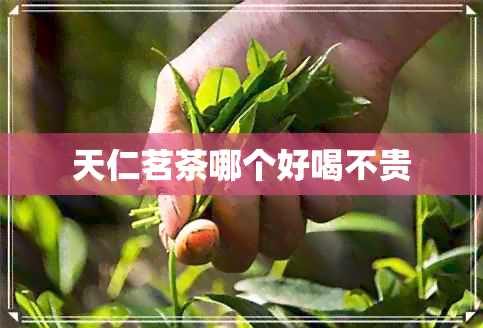 天仁茗茶哪个好喝不贵