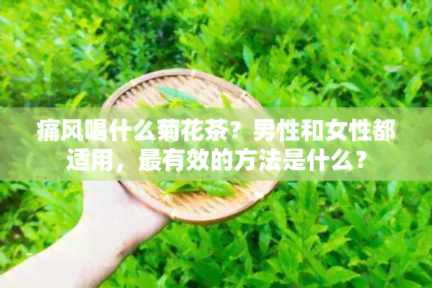 痛风喝什么菊花茶？男性和女性都适用，最有效的方法是什么？