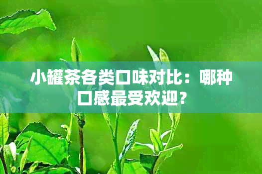 小罐茶各类口味对比：哪种口感更受欢迎？