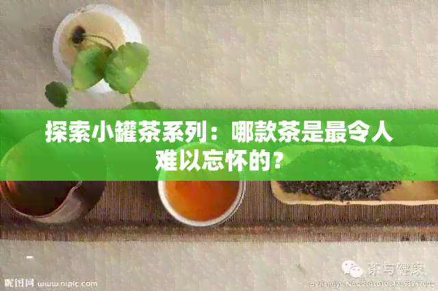 探索小罐茶系列：哪款茶是最令人难以忘怀的？