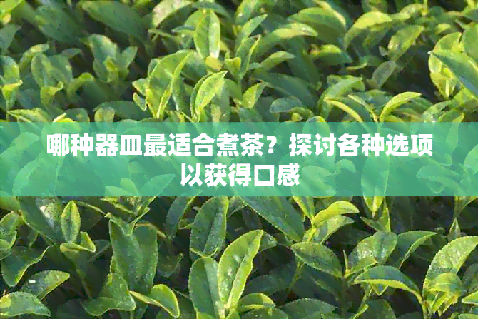 哪种器皿最适合煮茶？探讨各种选项以获得口感