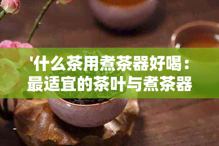 '什么茶用煮茶器好喝：最适宜的茶叶与煮茶器具'