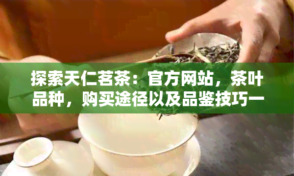 探索天仁茗茶：官方网站，茶叶品种，购买途径以及品鉴技巧一应俱全