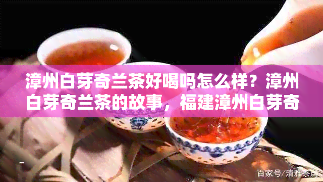 漳州白芽奇兰茶好喝吗怎么样？漳州白芽奇兰茶的故事，福建漳州白芽奇兰。