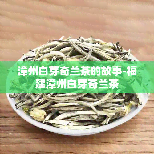 漳州白芽奇兰茶的故事-福建漳州白芽奇兰茶