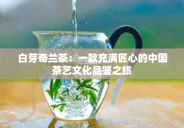 白芽奇兰茶：一款充满匠心的中国茶艺文化品鉴之旅