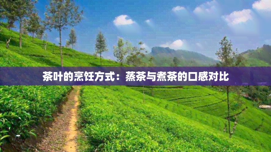 茶叶的烹饪方式：蒸茶与煮茶的口感对比