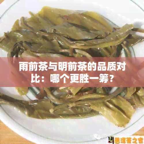 雨前茶与明前茶的品质对比：哪个更胜一筹？