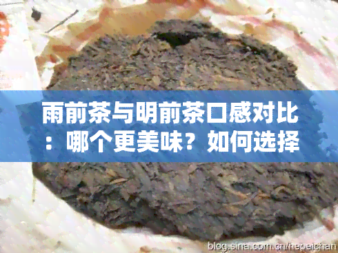 雨前茶与明前茶口感对比：哪个更美味？如何选择？