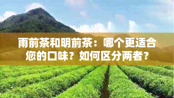 雨前茶和明前茶：哪个更适合您的口味？如何区分两者？