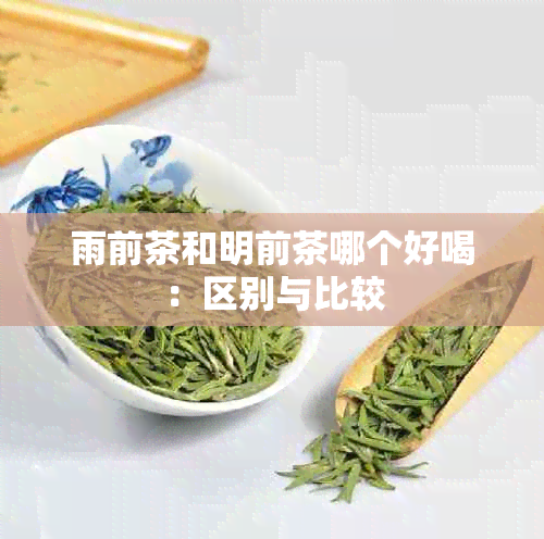 雨前茶和明前茶哪个好喝：区别与比较