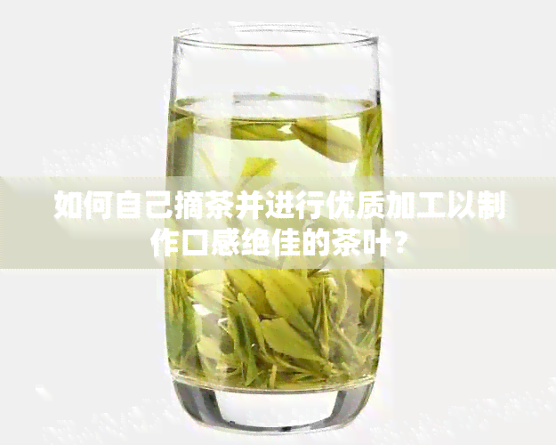 如何自己摘茶并进行优质加工以制作口感绝佳的茶叶？