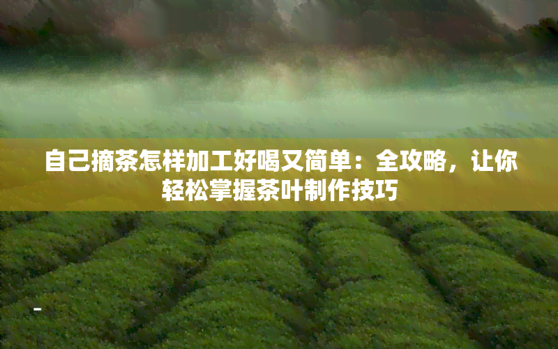 自己摘茶怎样加工好喝又简单：全攻略，让你轻松掌握茶叶制作技巧