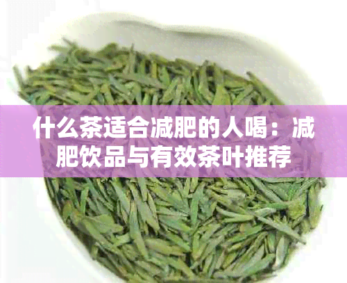 什么茶适合减肥的人喝：减肥饮品与有效茶叶推荐