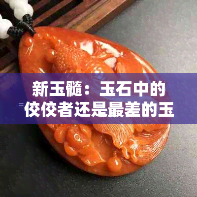 新玉髓：玉石中的佼佼者还是最差的玉？全面解析与比较