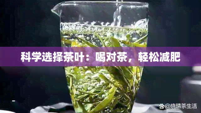 科学选择茶叶：喝对茶，轻松减肥