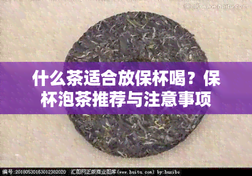 什么茶适合放保杯喝？保杯泡茶推荐与注意事项