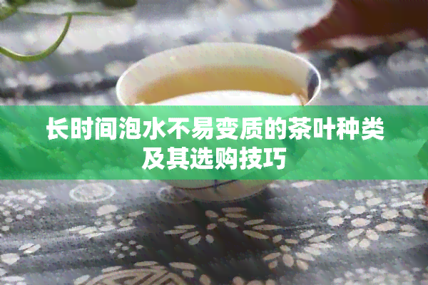 长时间泡水不易变质的茶叶种类及其选购技巧