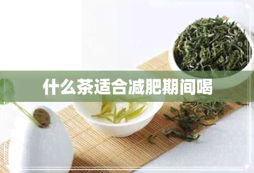 什么茶适合减肥期间喝