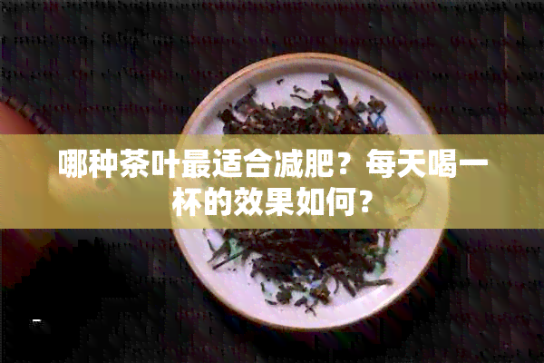 哪种茶叶最适合减肥？每天喝一杯的效果如何？