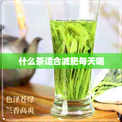 什么茶适合减肥每天喝