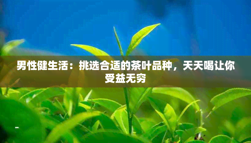 男性健生活：挑选合适的茶叶品种，天天喝让你受益无穷