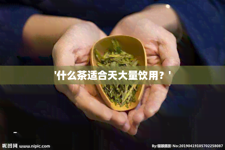 '什么茶适合天大量饮用？'