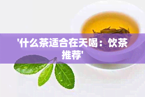 '什么茶适合在天喝：饮茶推荐'