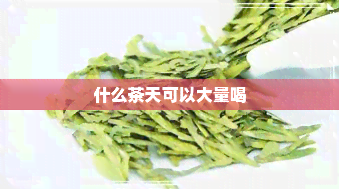 什么茶天可以大量喝