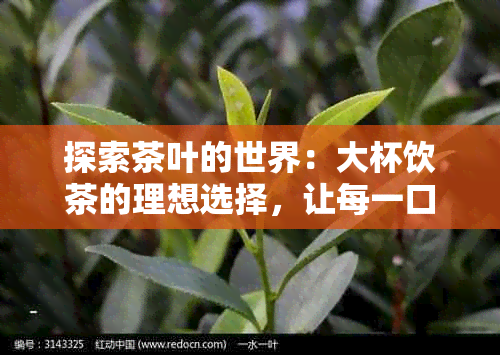 探索茶叶的世界：大杯饮茶的理想选择，让每一口都充满惊喜