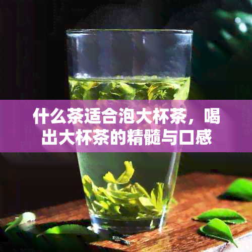 什么茶适合泡大杯茶，喝出大杯茶的精髓与口感