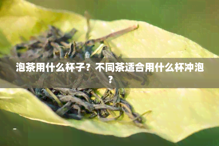 泡茶用什么杯子？不同茶适合用什么杯冲泡？