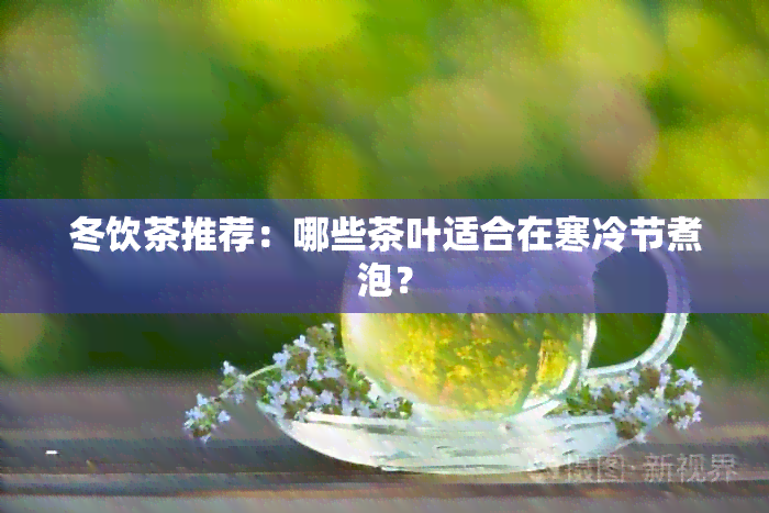 冬饮茶推荐：哪些茶叶适合在寒冷节煮泡？