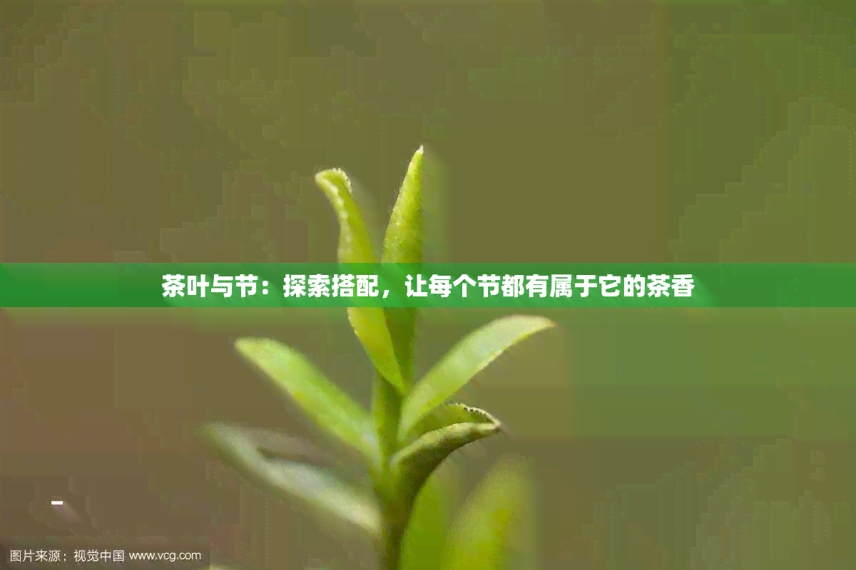 茶叶与节：探索搭配，让每个节都有属于它的茶香