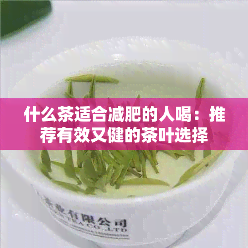 什么茶适合减肥的人喝：推荐有效又健的茶叶选择