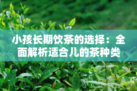 小孩长期饮茶的选择：全面解析适合儿的茶种类与功效