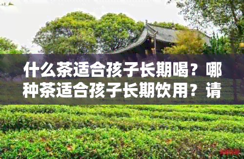 什么茶适合孩子长期喝？哪种茶适合孩子长期饮用？请提供相关信息。