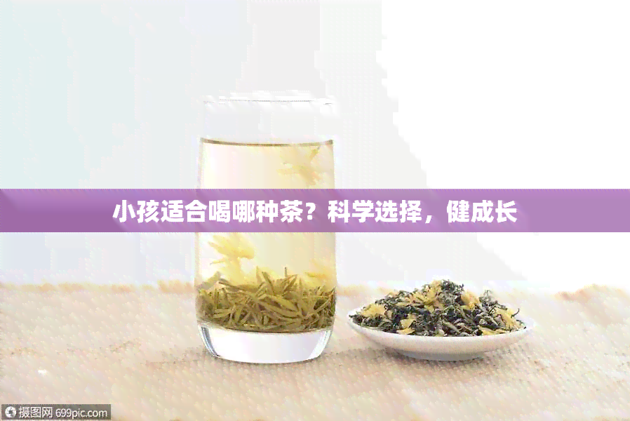 小孩适合喝哪种茶？科学选择，健成长