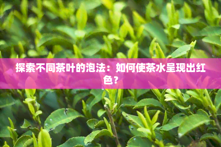 探索不同茶叶的泡法：如何使茶水呈现出红色？