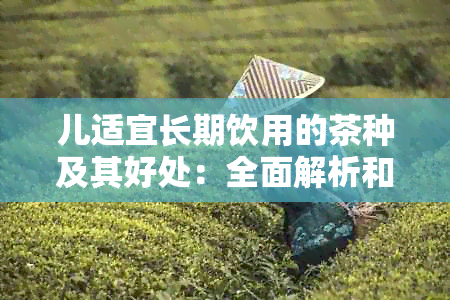 儿适宜长期饮用的茶种及其好处：全面解析和建议