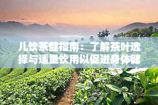 儿饮茶健指南：了解茶叶选择与适量饮用以促进身体健