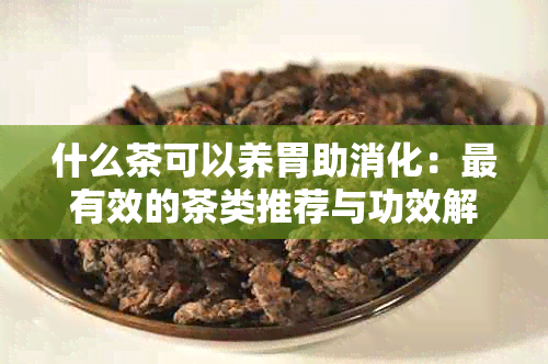 什么茶可以养胃助消化：最有效的茶类推荐与功效解析