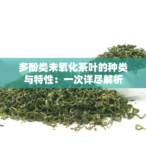 多酚类未氧化茶叶的种类与特性：一次详尽解析