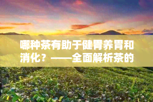 哪种茶有助于健胃养胃和消化？——全面解析茶的益处与选择方法。