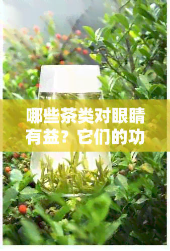 哪些茶类对眼睛有益？它们的功效与作用是什么？