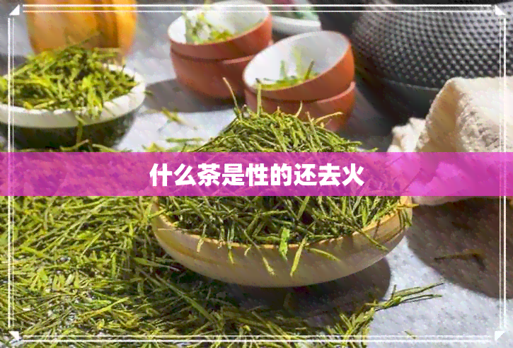 什么茶是性的还去火