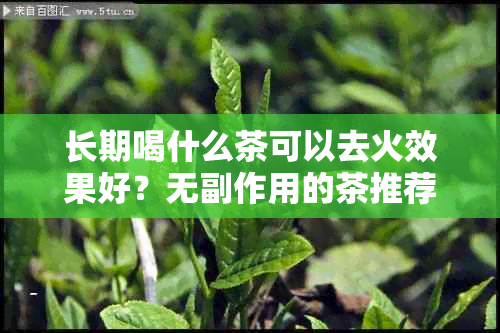 长期喝什么茶可以去火效果好？无副作用的茶推荐