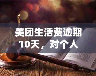 美团生活费逾期10天，对个人信用记录的影响及解决方案