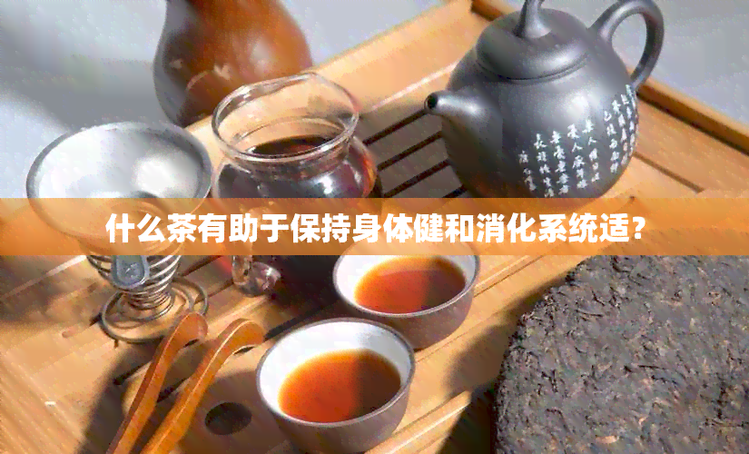 什么茶有助于保持身体健和消化系统适？