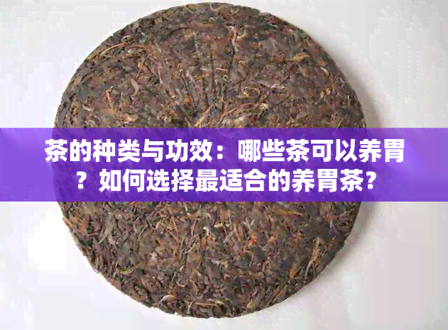 茶的种类与功效：哪些茶可以养胃？如何选择最适合的养胃茶？